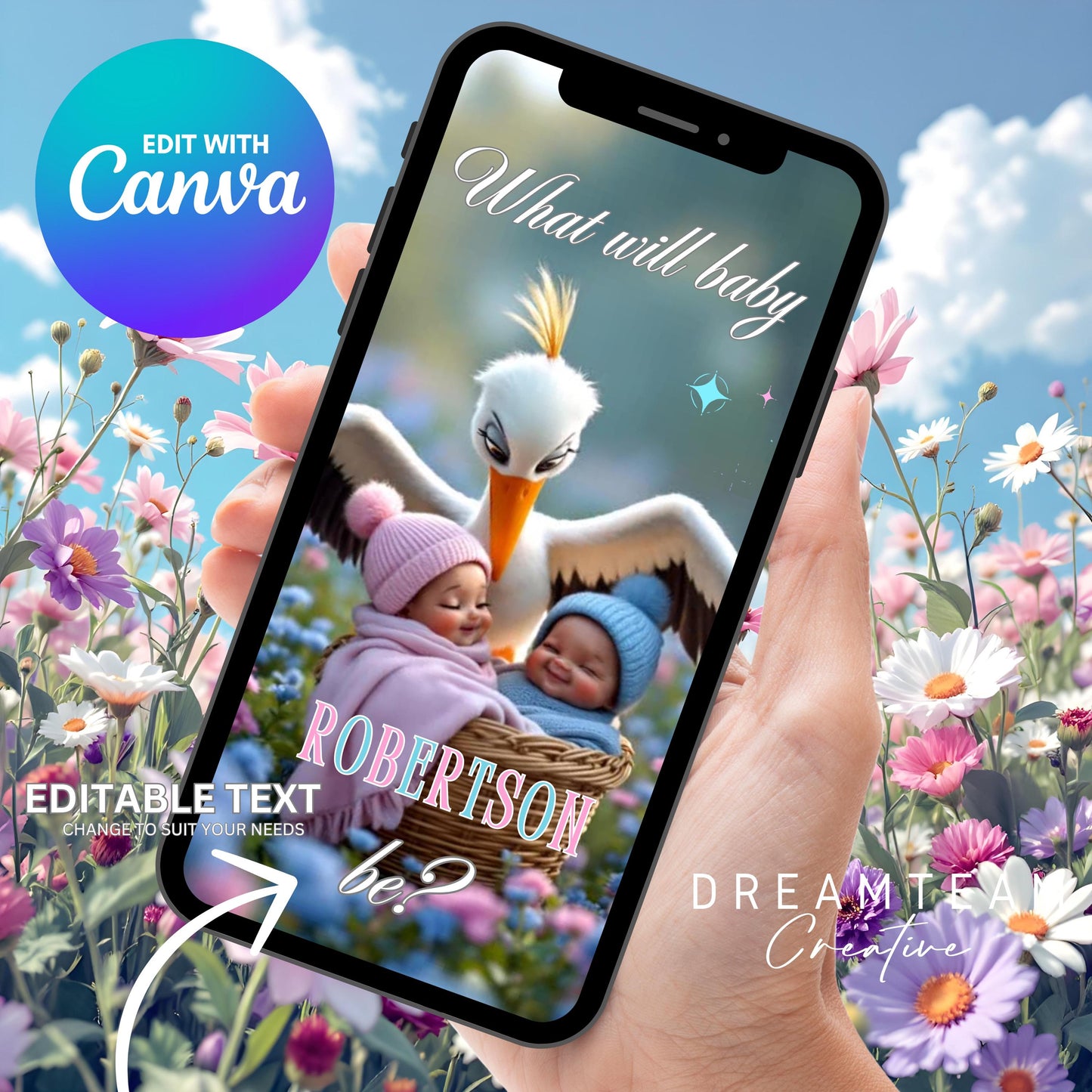 African American Gender Reveal Video Announcement Stork Video It's a Girl Video Baby Announcement Video Gender Reveal Stork Video Pink MP4