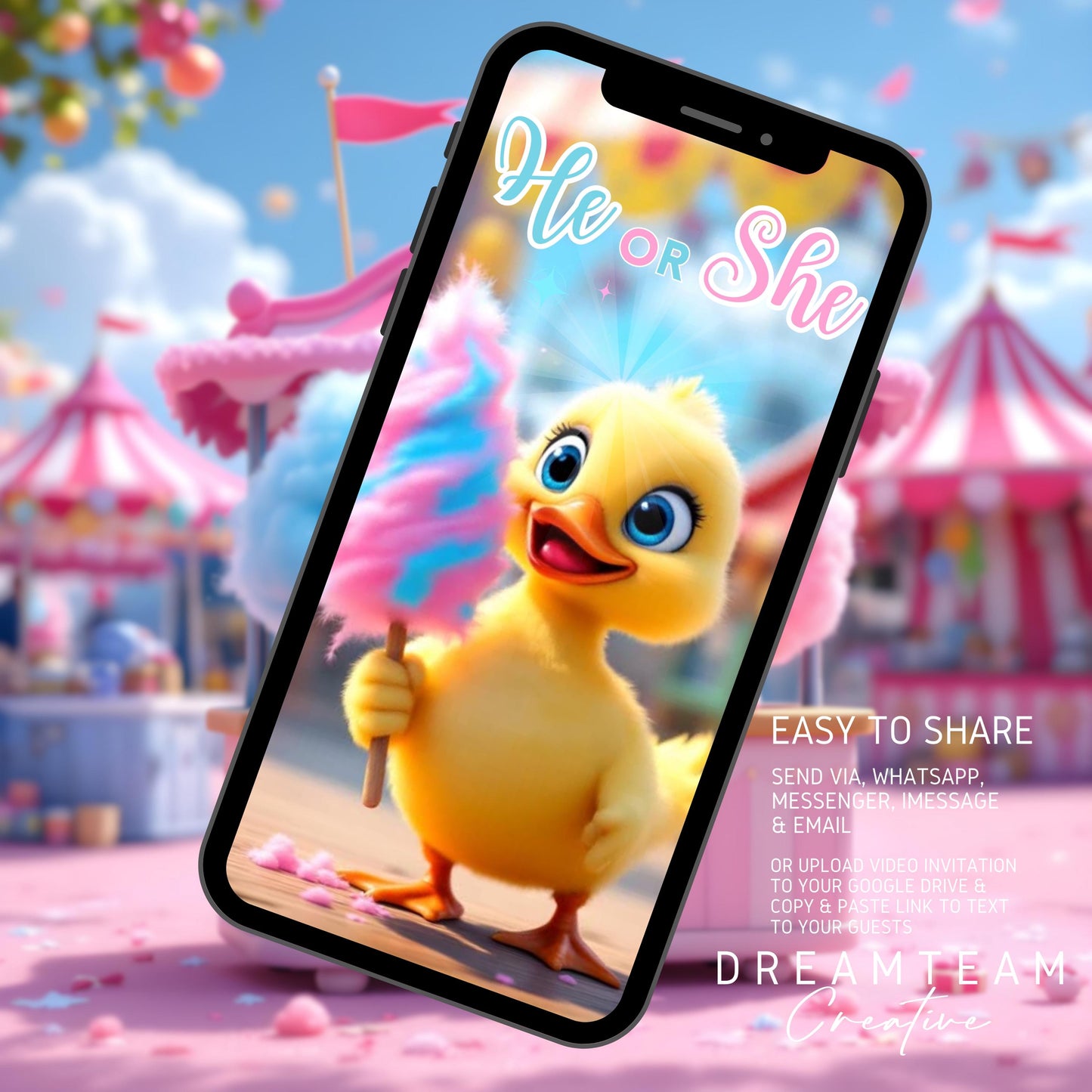 Boy GENDER REVEAL Video Announcement Pregnancy Announcement Video Duck Gender Reveal He or She Video It's a Boy Gender Reveal MP4 Baby Annou