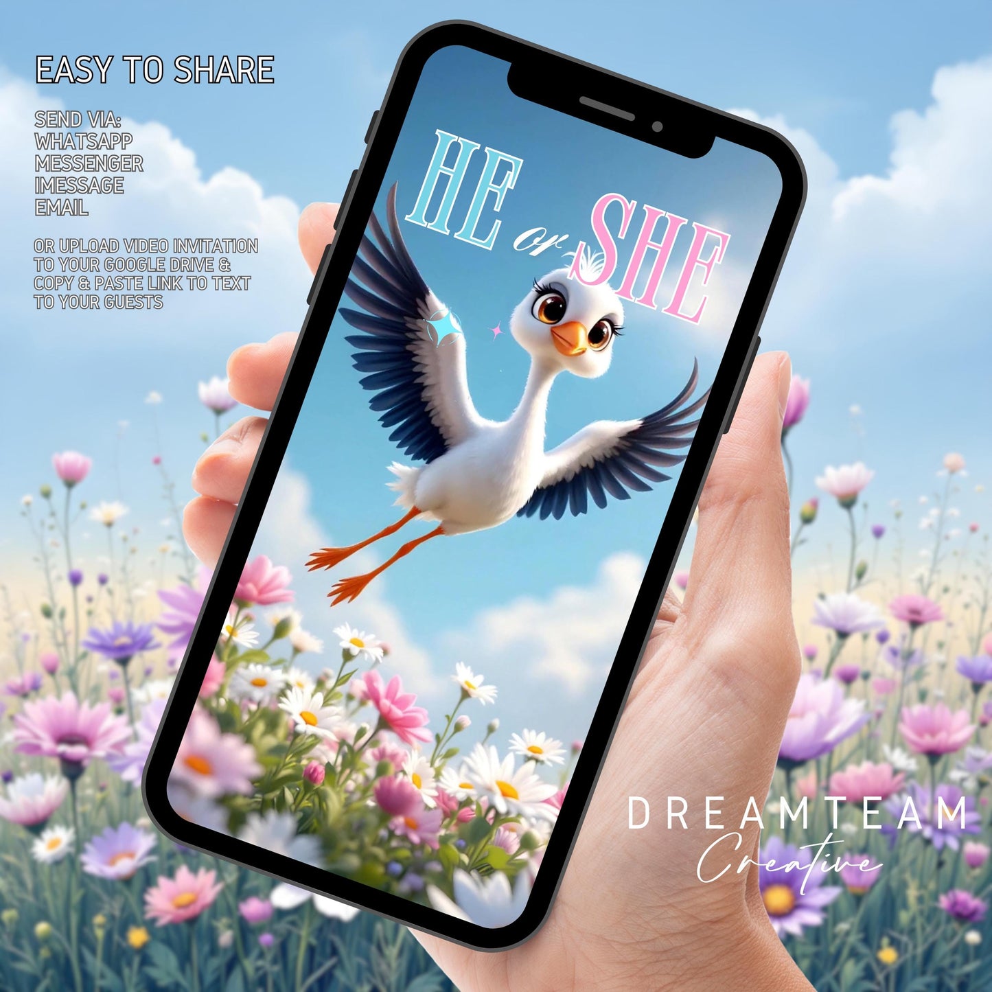 GENDER REVEAL Announcement Video Stork It's a Boy Video Pregnancy Announcement Video Gender Reveal Stork Video Gender Reveal Blue MP4 Video