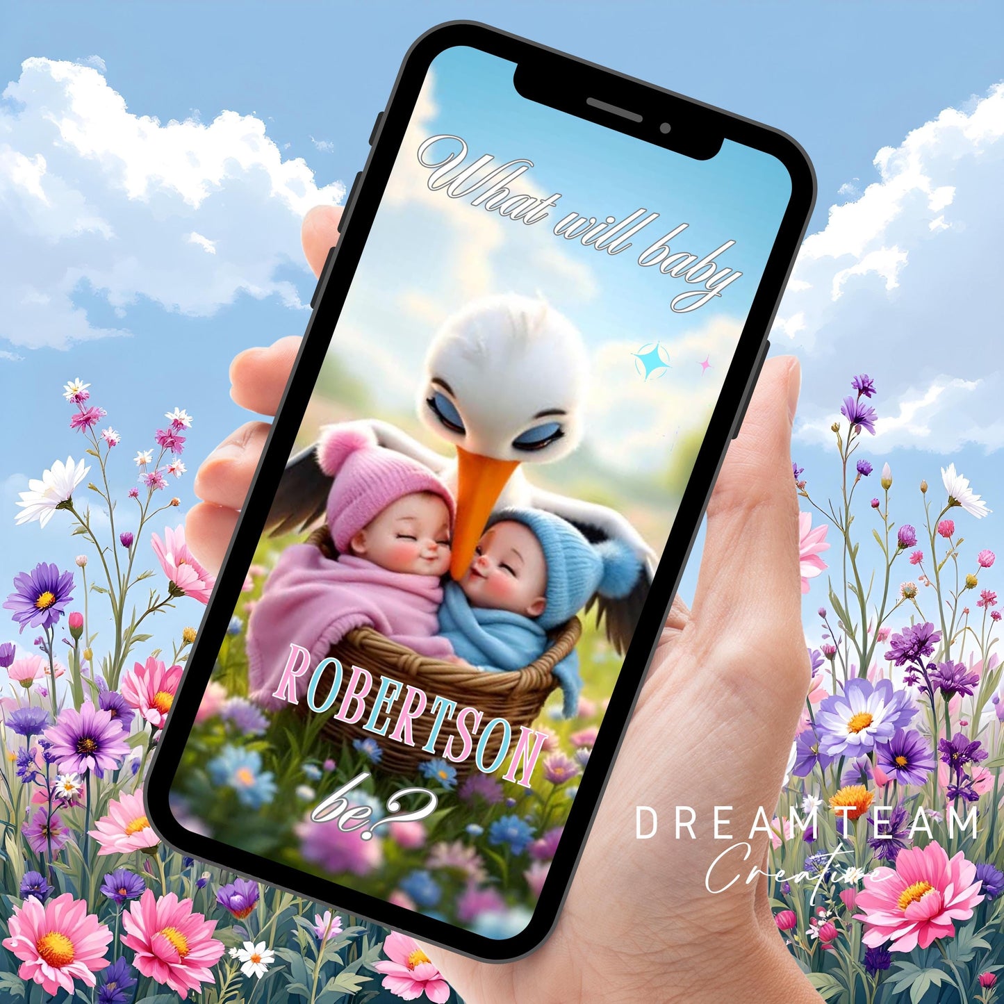 GENDER REVEAL Announcement Video Stork It's a Boy Video Pregnancy Announcement Video Gender Reveal Stork Video Gender Reveal Blue MP4 Video