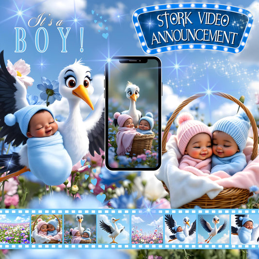 Gender Reveal African American Video Announcement Stork Video It's a Boy Video Baby Announcement Video Stork Gender Reveal Video Blue MP4