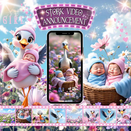 STORK Gender Reveal Announcement Video It's a Girl Video Pregnancy Announcement Video Gender Reveal Stork Video Gender Reveal Pink MP4 Video