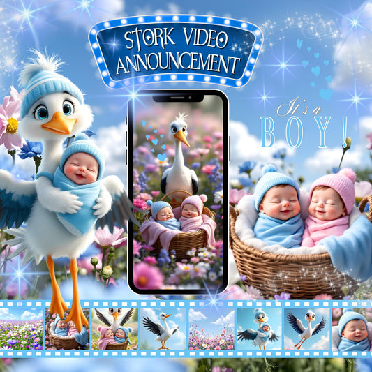 GENDER REVEAL Announcement Video Stork It's a Boy Video Pregnancy Announcement Video Gender Reveal Stork Video Gender Reveal Blue MP4 Video