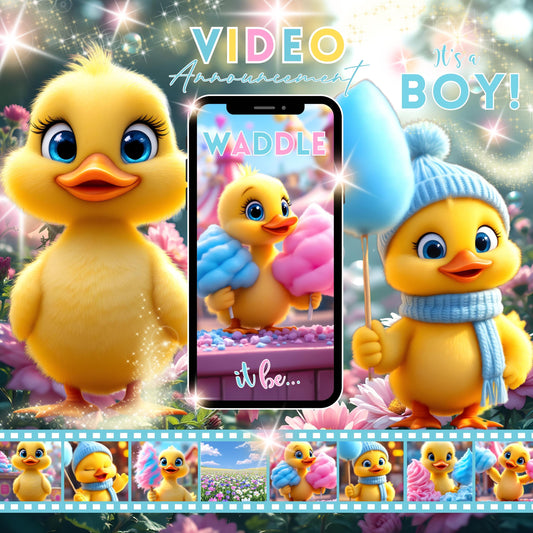 Boy GENDER REVEAL Video Announcement Pregnancy Announcement Video Duck Gender Reveal He or She Video It's a Boy Gender Reveal MP4 Baby Annou