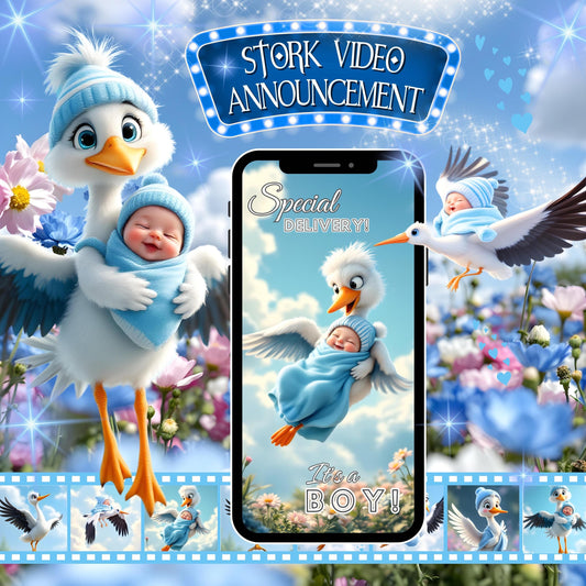 BABY SHOWER VIDEO Invitation Stork Special Delivery Video Invitation Digital Boy Baby Shower Video Invite Animated Stork Video Evite MP4